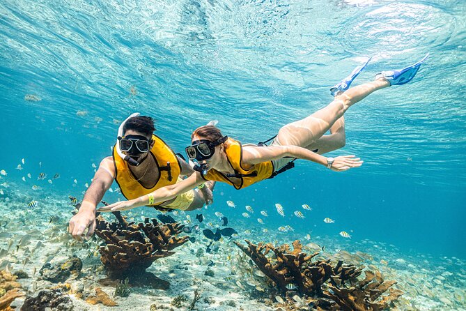 5-in-1 Cancun Snorkeling Tour with Sea Life & Transport Included - Stop five: the cenote finale, a natural formation underwater