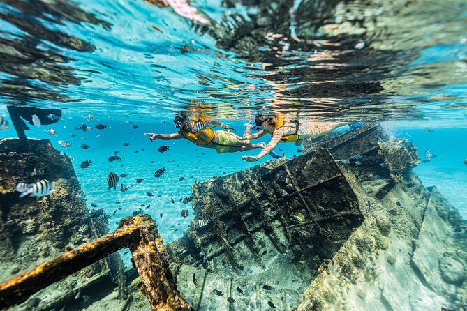 5-in-1 Cancun Snorkeling Tour with Sea Life & Transport Included - Photos and videos: great guides, but confirm the add-on process
