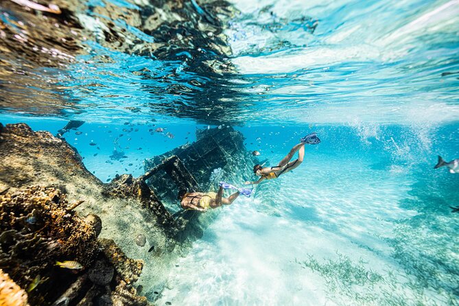 5-in-1 Cancun Snorkeling: Turtles, Reef, Musa, Shipwreck, Cenote - MUSA underwater art galleries: swimming past statues
