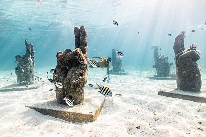 5-in-1 Cancun Snorkeling: Turtles, Reef, Musa, Shipwreck, Cenote - Shipwreck exploration: where the ocean looks manmade
