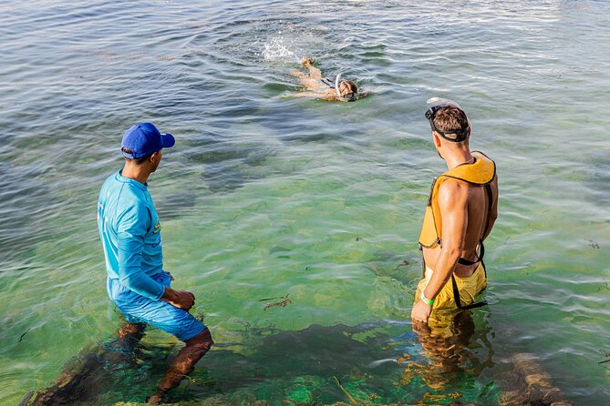 5-in-1 Cancun Snorkeling: Turtles, Reef, Musa, Shipwreck, Cenote - Cenote finale at the end of the day: cool water, shorter time