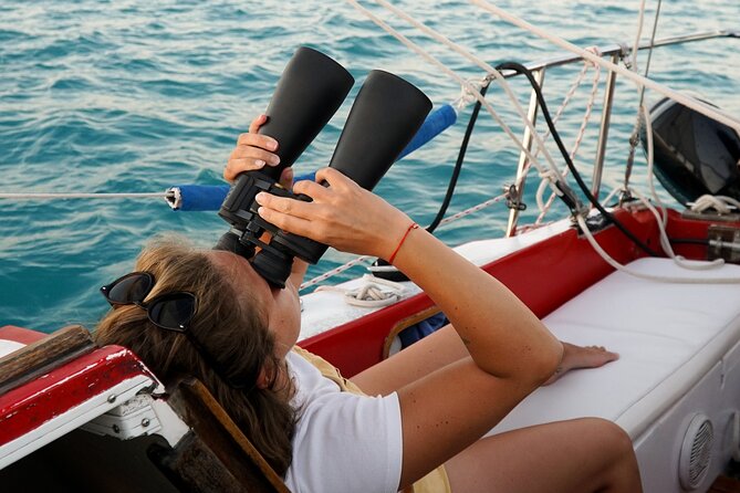 6hrs of Sailing in Bacalar Lagoon: discover Cenotes, Islands and Stromatolites. - Key highlights you’ll actually care about