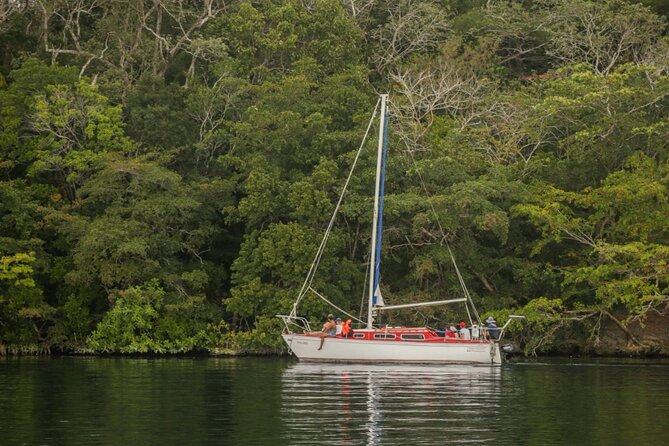 6hrs of Sailing in Bacalar Lagoon: discover Cenotes, Islands and Stromatolites. - Stop on Lake Bacalar: how cenotes, islands, and stromatolites show up