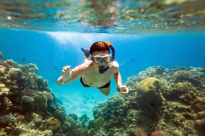 Acapulco Snorkeling Tour - Key Highlights at a Glance