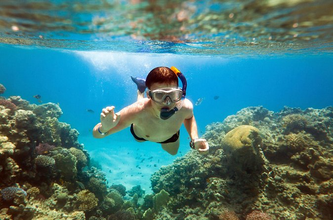 Acapulco Snorkeling Tour - Does La Roqueta Mean Beach Time and Island Shopping?