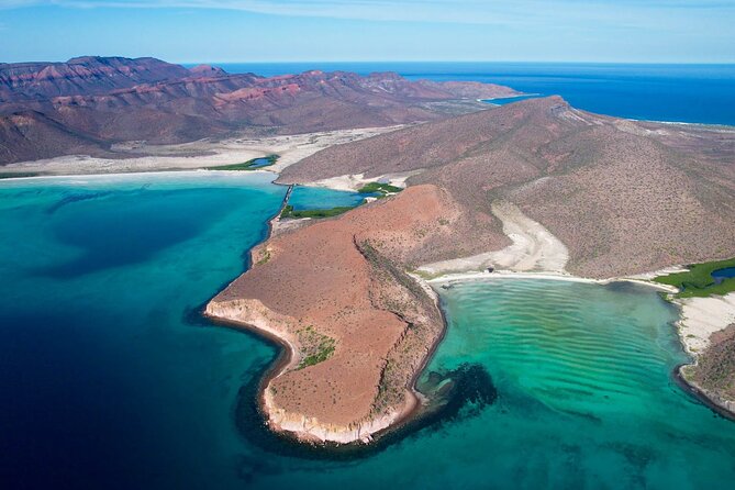 Adventure to Espiritu Santo Island: Snorkel with Sea Lions and Beach - Beach lunch on Espiritu Santo: ceviche, vegan option, and what to watch out for