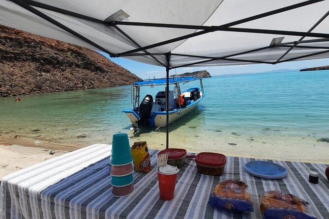 Adventure to Espiritu Santo Island: Snorkel with Sea Lions and Beach - Cost and value: what $136.52 buys you, and how to get the most out