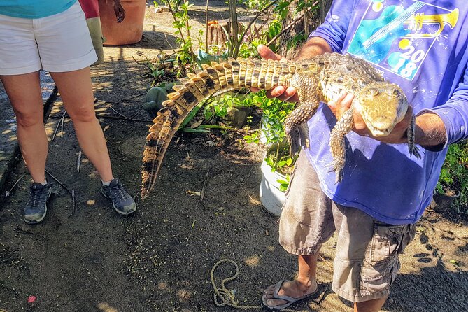 Afro-Mex Village Experience -Horseback Ride -Turtle Hatch & Crocs - Key highlights you will feel fast