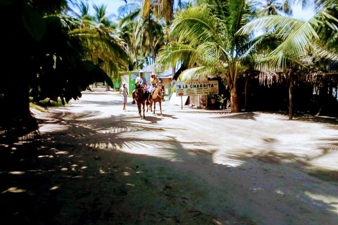Afro-Mex Village Experience -Horseback Ride -Turtle Hatch & Crocs - A half-day of horses, turtles, and crocs in Acapulco