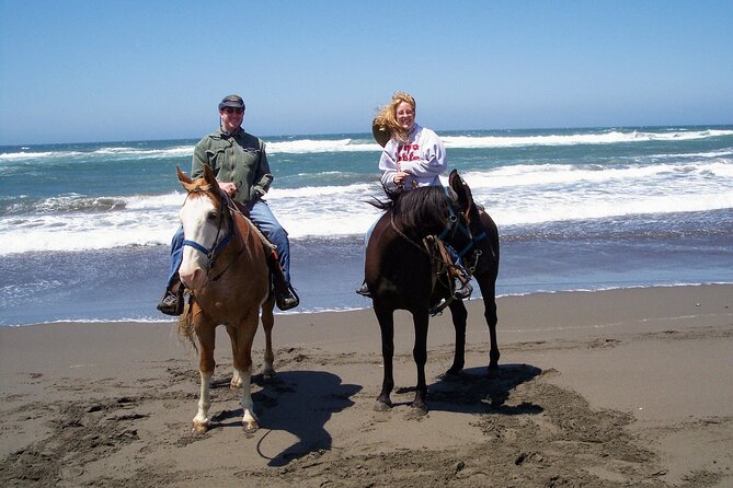 Afro-Mex Village Experience -Horseback Ride -Turtle Hatch & Crocs - Crocodile farm: learn, and yes, you may get hands-on moments