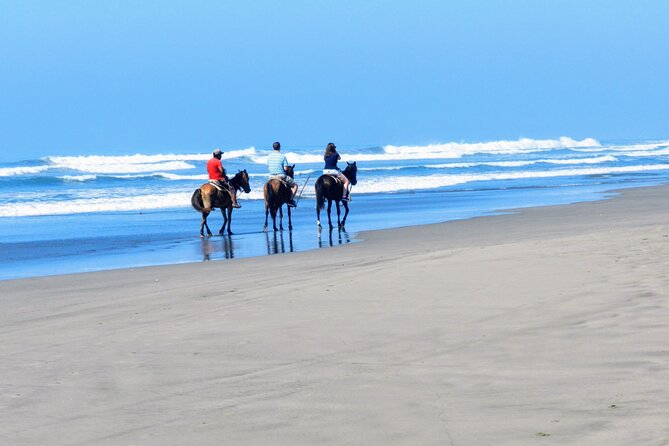 Afro-Mex Village Experience -Horseback Ride -Turtle Hatch & Crocs - Value for $120.99: what you are really paying for