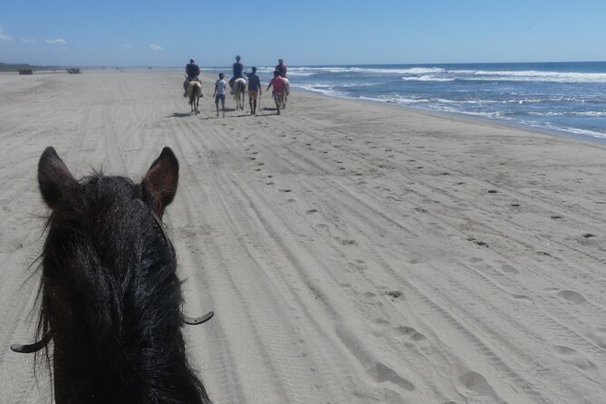 Afro-Mex Village Experience -Horseback Ride -Turtle Hatch & Crocs - Comfort, dress, and small choices that save you hassle