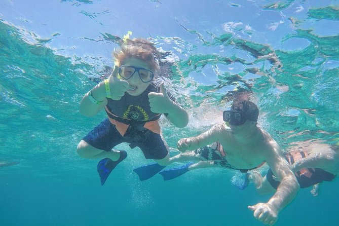 Afternoon Half-Day Catmaran Sailing and Snorkel Adventure - Price, what you actually pay, and the extra fees to budget