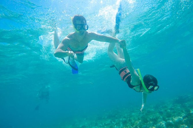 Afternoon Half-Day Catmaran Sailing and Snorkel Adventure - Isla Mujeres snorkeling near the reefs, what to expect and what to ask for