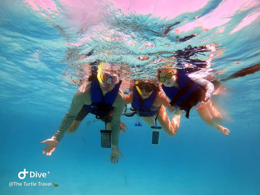 Akumal Beach: Ecologic Turtle Snorkeling Tour & Gopro Photos - Safety briefing and learning to snorkel without drama