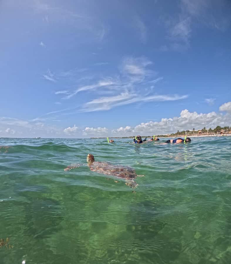 Akumal Beach: Ecologic Turtle Snorkeling Tour & Gopro Photos - The beach time after snorkeling is not just a bonus