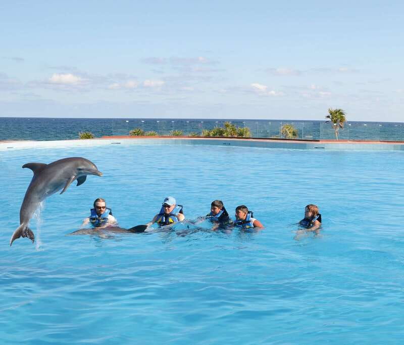 Akumal: Dolphin Encounter - Dolphin Encounter Key Points (What to Know Fast)