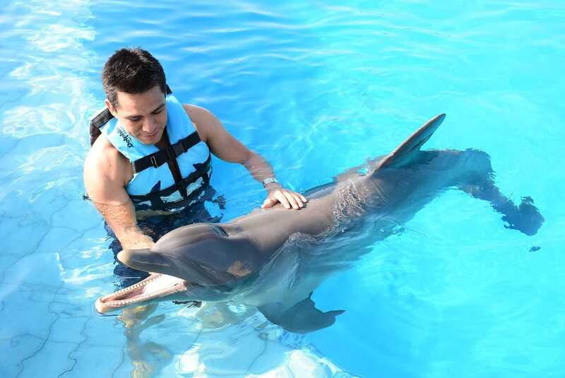 Akumal: Dolphin Encounter - Location fit: why Akumal works well for this kind of day