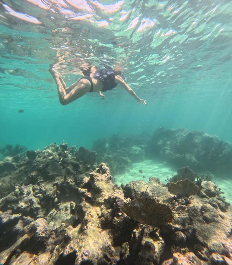 Akumal: Swim with Sea Turtles and Coral Reefs. - Price and value: what $37 buys you in Akumal