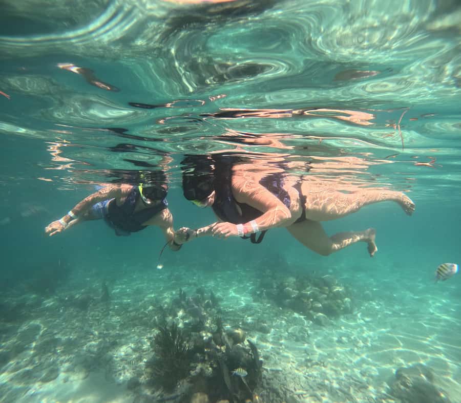 Akumal: Swim with Sea Turtles and Coral Reefs. - The pre-swim setup: wristbands, gear, and the turtle rules