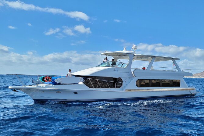 All Inclusive HUGE 75ft Yacht Up to 50 Guests Early Bird Promo - Why this 75-ft Cabo yacht day feels different than a typical tour