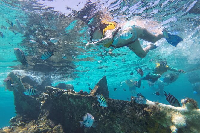 All-Inclusive Isla Mujeres Catamaran with Free Transportation - Isla Mujeres lunch at Zaza or Ice Bar, plus beach club time
