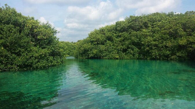 Amazing beginner dive in Tulum cenote (or refresher dive) - Key reasons this Casa Cenote scuba session works