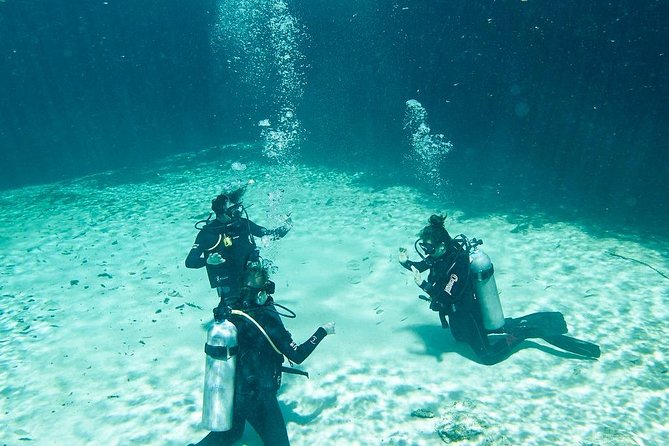 Amazing beginner dive in Tulum cenote (or refresher dive) - A first scuba session in Tulum’s Casa Cenote, without the chaos