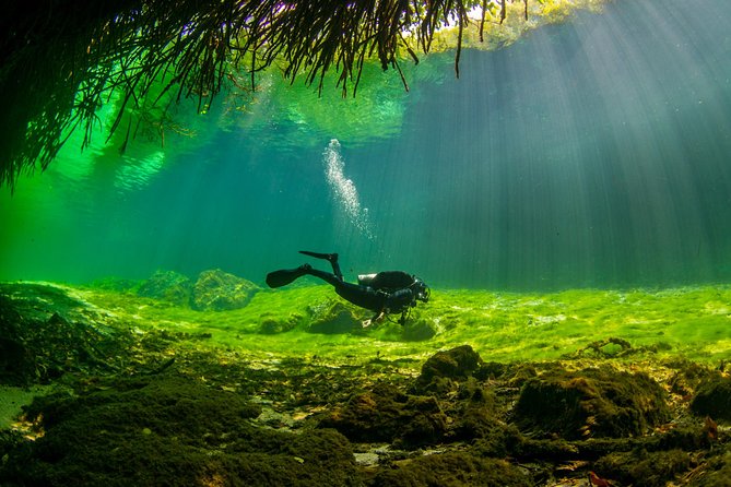 Amazing beginner dive in Tulum cenote (or refresher dive) - The 9:00am start: gear fitting, safety skills, and underwater communication