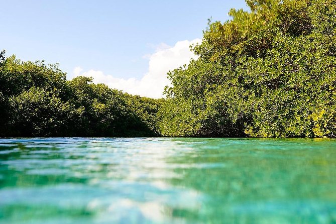 Amazing beginner dive in Tulum cenote (or refresher dive) - Small group size and instructor attention: safety you can feel