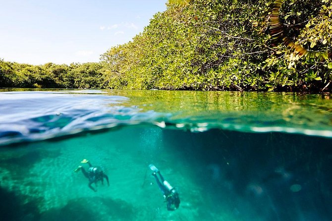 Amazing beginner dive in Tulum cenote (or refresher dive) - How the refresher option works for certified scuba participants