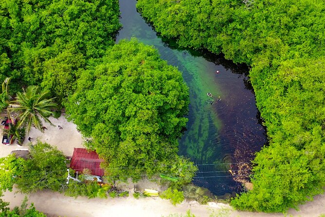 Amazing beginner dive in Tulum cenote (or refresher dive) - Transportation, timing, and what your day feels like