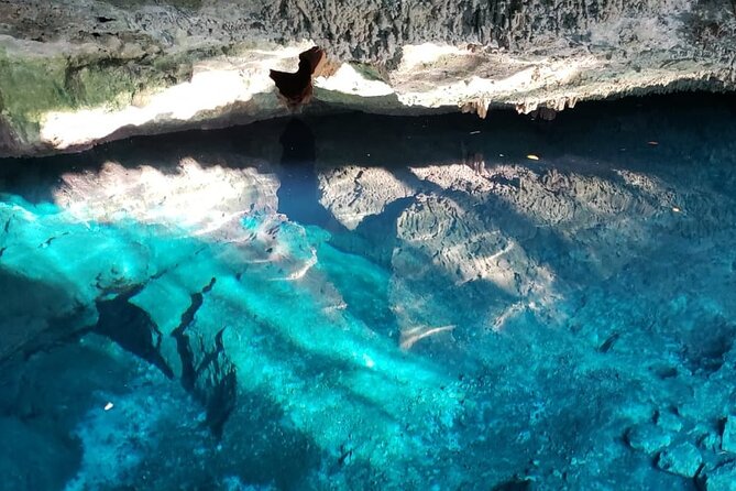 Archaeological Tour in Tulum and Coba with Kuxtal Cenote - Transportation and timing: early start, long day, basic bus rhythm