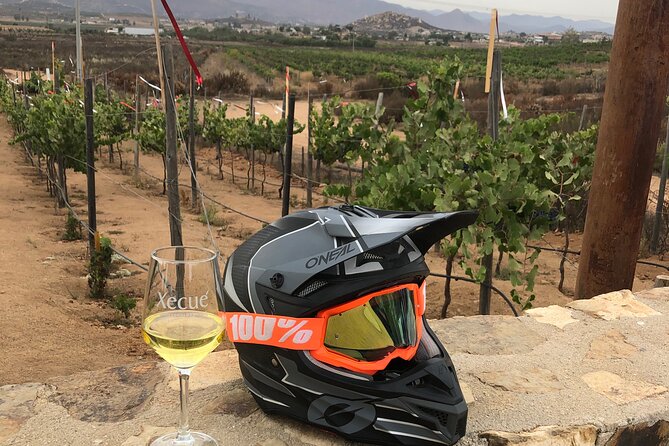 ATV Off-Road Adventure through Valle de Guadalupe + Winery Visit - From Lago Valle to the Scenic Overlook: What the Ride Feels Like