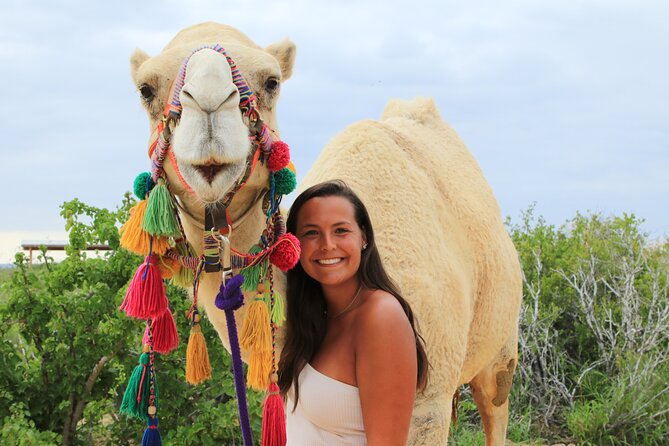 ATV Tour, Camel Ride, Tequila Tasting and Mexican Buffet Lunch - ATV through the Cabo desert: automatic, guided, and very hands on