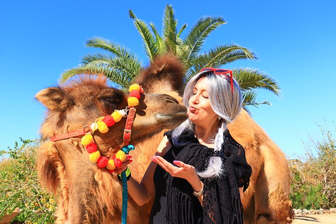 ATV Tour, Camel Ride, Tequila Tasting and Mexican Buffet Lunch - Tequila tasting and Mexican buffet lunch by the water