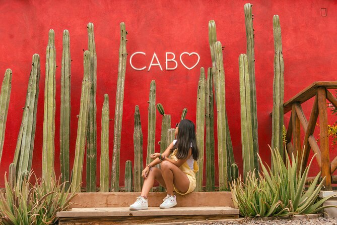 ATV Tour, Camel Ride, Tequila Tasting and Mexican Buffet Lunch - The camel beach ride: waves, photos, and comfort expectations