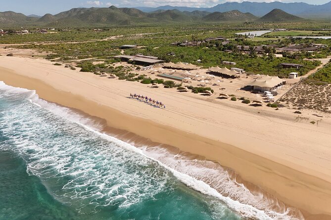 ATVs, UTVs, and Camel Ride in All Access Adventure Park and Beach - Key reasons to go