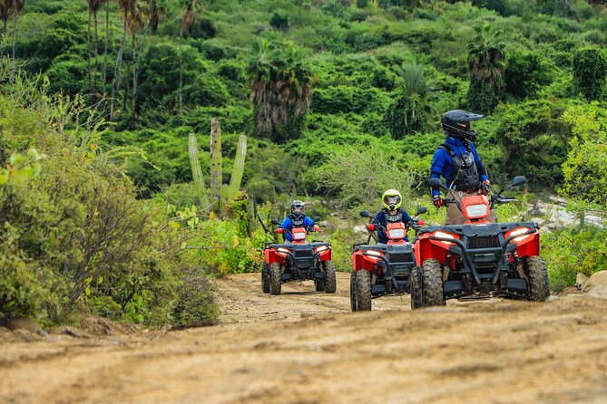 ATVs, UTVs, and Camel Ride in All Access Adventure Park and Beach - Electric Bike on the Beach: The Pace Switch You’ll Appreciate