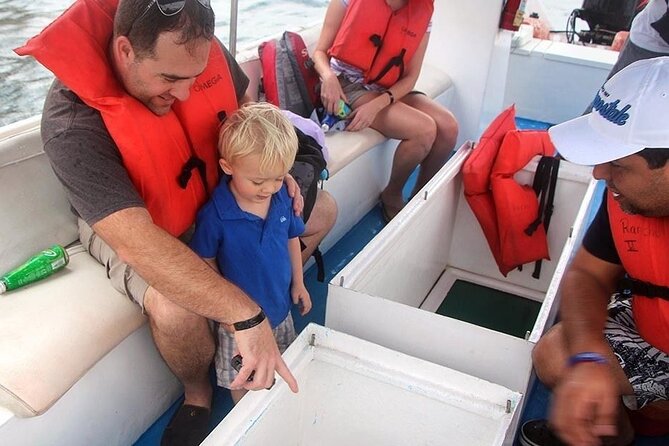 Authentic Cabo San Lucas Tour - Price and Value: Is $75 Worth It?