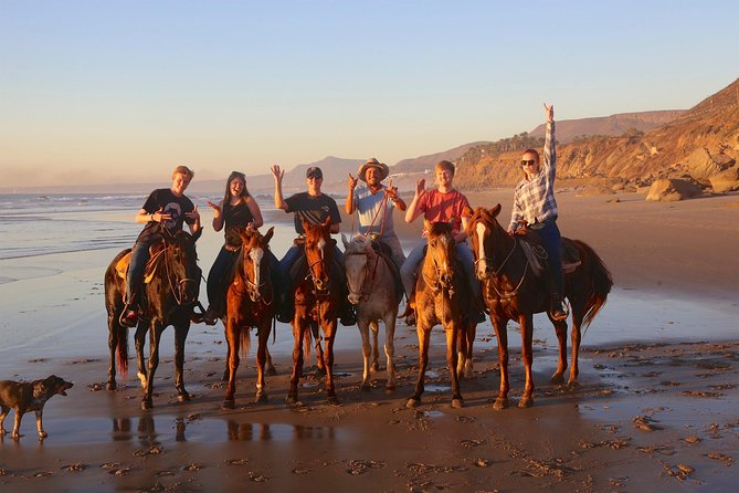 Authentic horseback riding in beautiful La Mision - The real draw in La Mision, estuary birds and Pacific sand