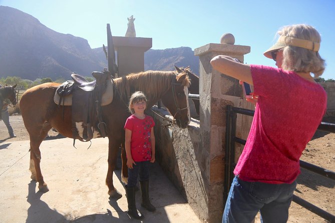 Authentic horseback riding in beautiful La Mision - How long it really takes, and why timing can make or break a cruise day