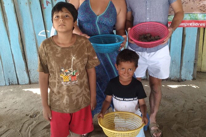 Baby Sea Turtle Releasing Sightseeing Tour with Luis de la Maza - Conservation in action with Luis de la Maza and the local team