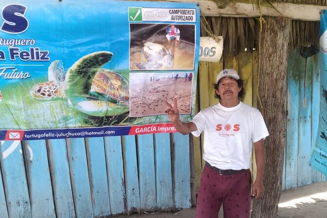 Baby Sea Turtle Releasing Sightseeing Tour with Luis de la Maza - Price and value at about $65.75: what you are really paying for