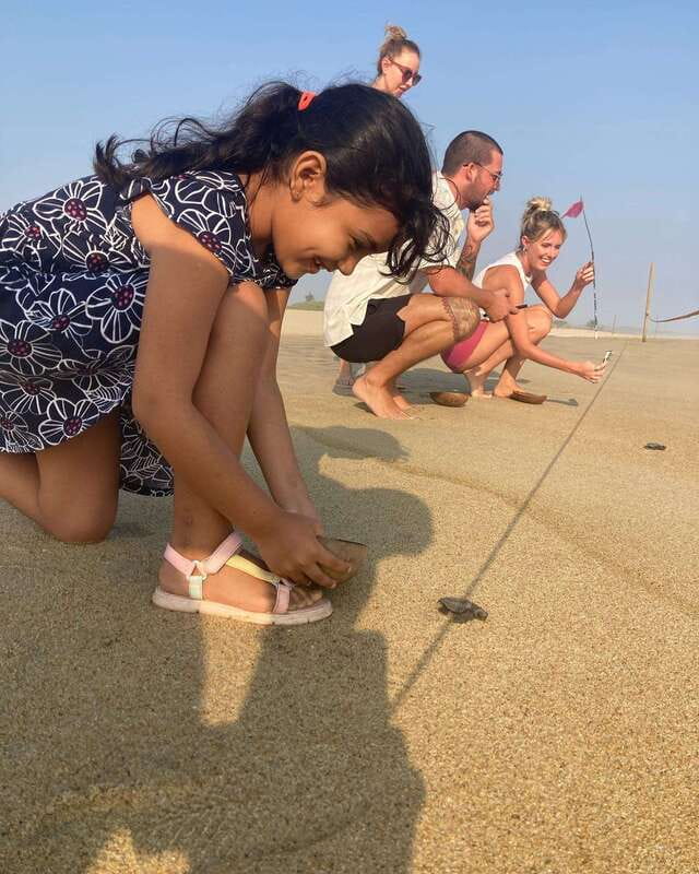 Baby Sea turtles release in Puerto Escondido - Key highlights you should know before you go