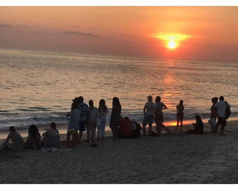 Baby Sea turtles release in Puerto Escondido - The 1.5-hour beach experience: guided walk, wildlife viewing, and the release moment