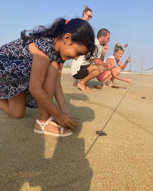 Baby Sea turtles release in Puerto Escondido - Who should book (and who should skip) this sea turtle hatchling release