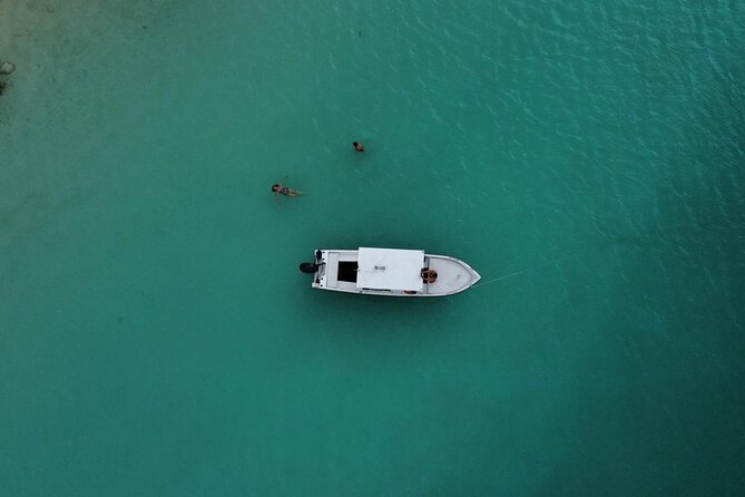 Bacalar Boat Tour and Visit to Cenotes - Guides, Captains, and Why This Tour Feels Personal