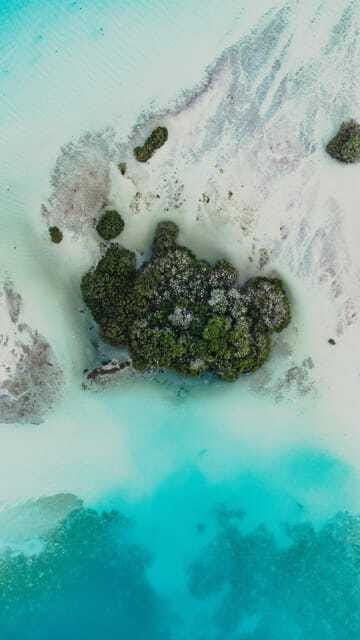 Bacalar & Cenotes: 3 hours kayak rental with snorkeling gear - What’s Not Allowed: It’s About Safety and Protecting the Water