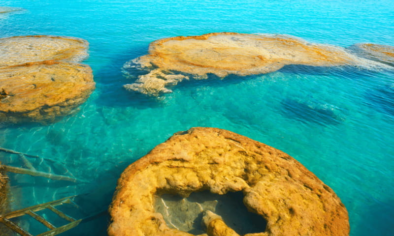 Bacalar: Lagoon, Pirate Canal, Stromatolite Day Trip w/Lunch - Isla Pájaros: a bird-filled reset break
